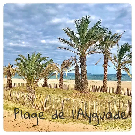 Port D'hyeres Vue Et Iles De Porquerolles Et Port-cros Апартаменты Йер