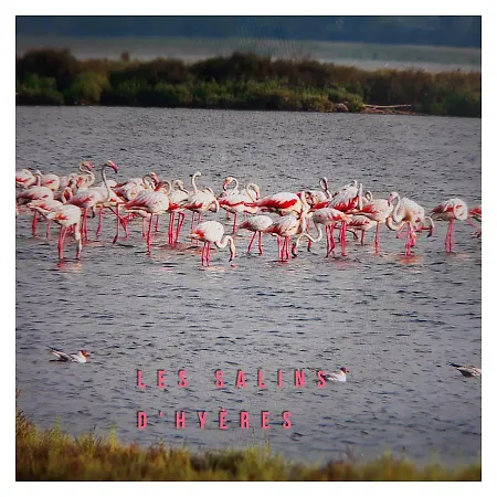 Apartment Port D'hyeres Vue Et Iles De Porquerolles Et Port-cros