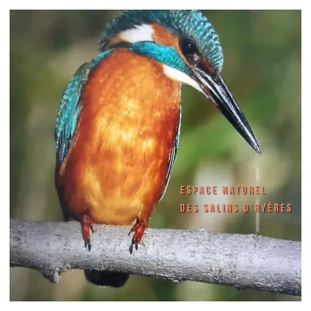 Port D'hyeres Vue Et Iles De Porquerolles Et Port-cros Йер