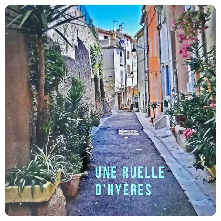 Port D’hyères Vue Et îles De Porquerolles Et Port-cros Appartement *