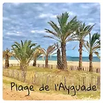 Port D'hyeres Vue Et Iles De Porquerolles Et Port-cros アパート イエール