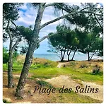 アパート Port D'hyeres Vue Et Iles De Porquerolles Et Port-cros