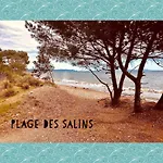 Port D'hyeres Vue Et Iles De Porquerolles Et Port-cros アパート イエール