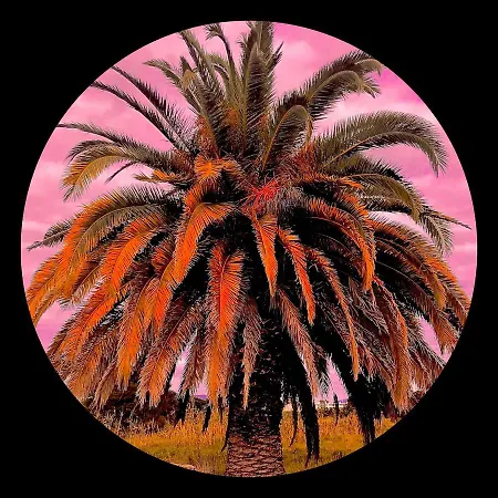 Port D’hyères Vue Et îles De Porquerolles Et Port-cros