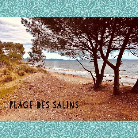 Port D’hyères Vue Et îles De Porquerolles Et Port-cros Appartement Hyères