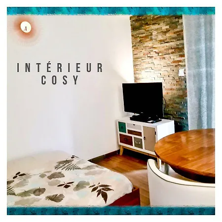 Port D’hyères Vue Et îles De Porquerolles Et Port-cros