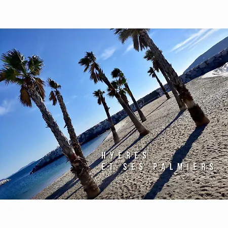 Port D’hyères Vue Et îles De Porquerolles Et Port-cros Hyères