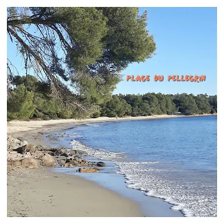 Port D’hyères Vue Et îles De Porquerolles Et Port-cros