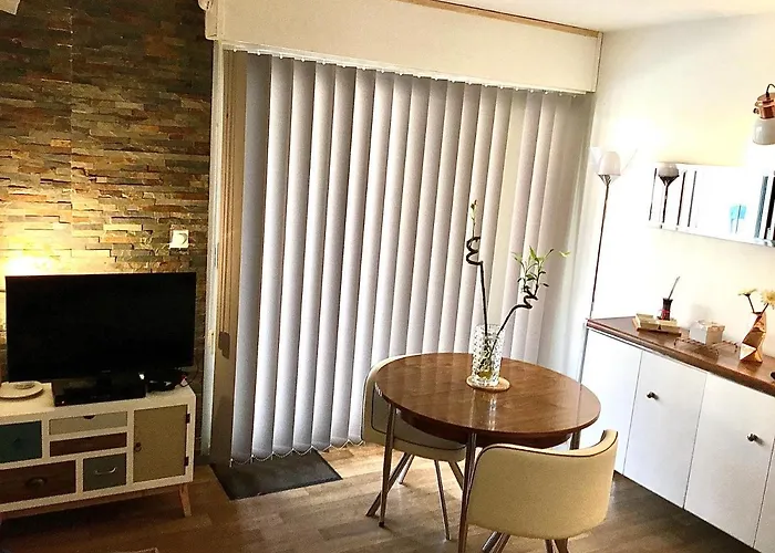 Port D'hyeres Vue Et Iles De Porquerolles Et Port-cros