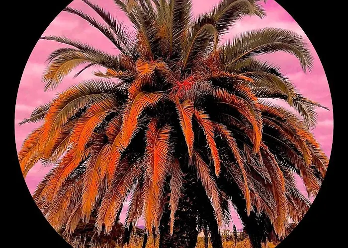 Port D'hyeres Vue Et Iles De Porquerolles Et Port-cros