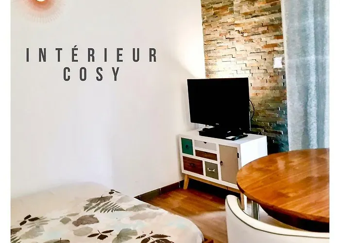 Port D'hyeres Vue Et Iles De Porquerolles Et Port-cros