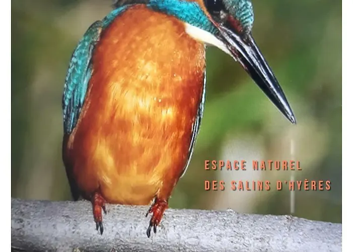 Port D'hyeres Vue Et Iles De Porquerolles Et Port-cros Hyères