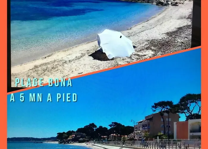 Port D'hyeres Vue Et Iles De Porquerolles Et Port-cros Hyères