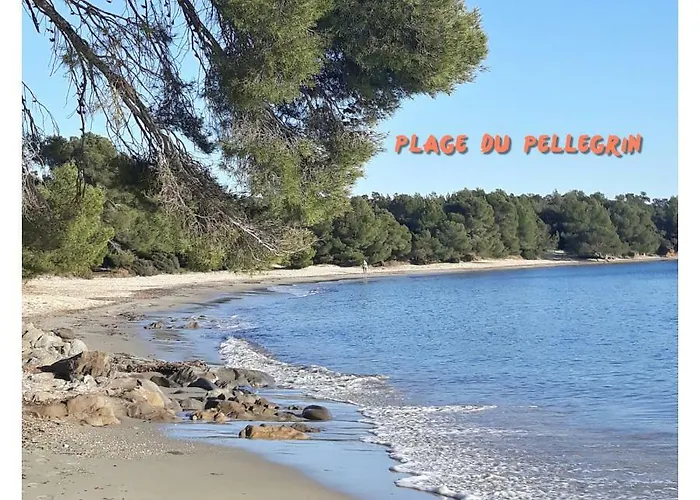 Port D'hyeres Vue Et Iles De Porquerolles Et Port-cros