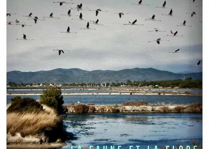 Port D'hyeres Vue Et Iles De Porquerolles Et Port-cros Lejlighed *